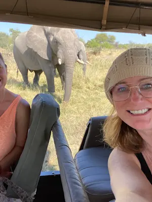 Observing a majestic elephant in the wilds of Botswana.
