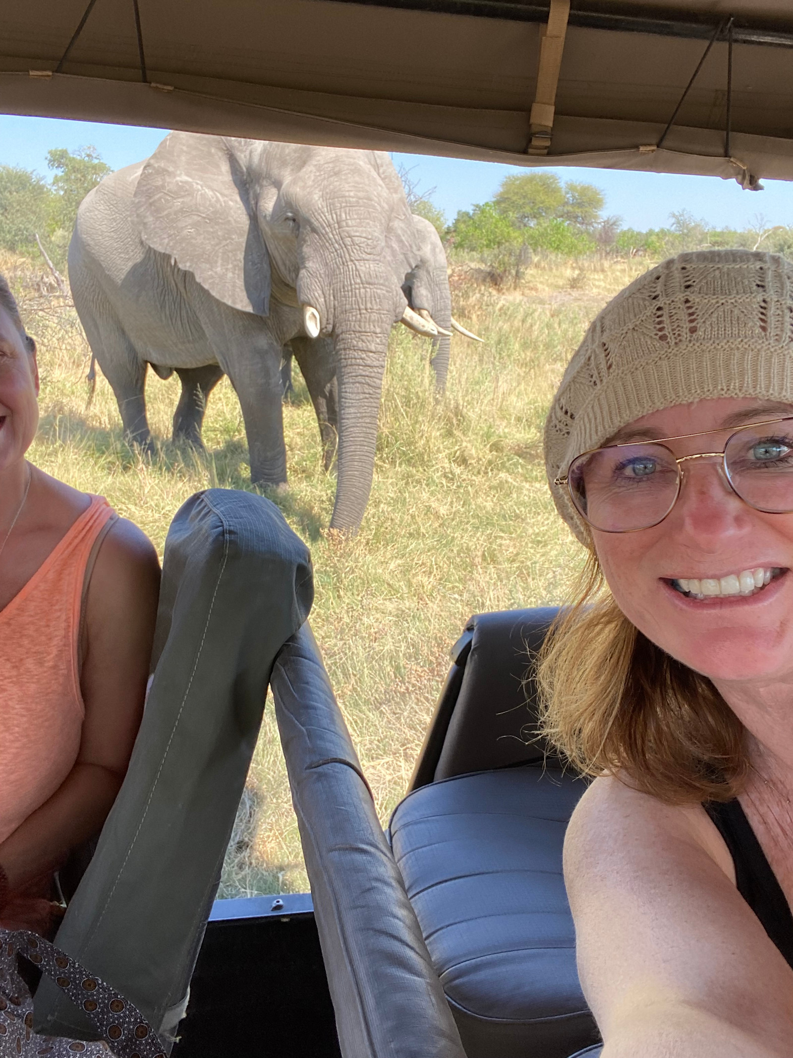 Observing a majestic elephant in the wilds of Botswana.