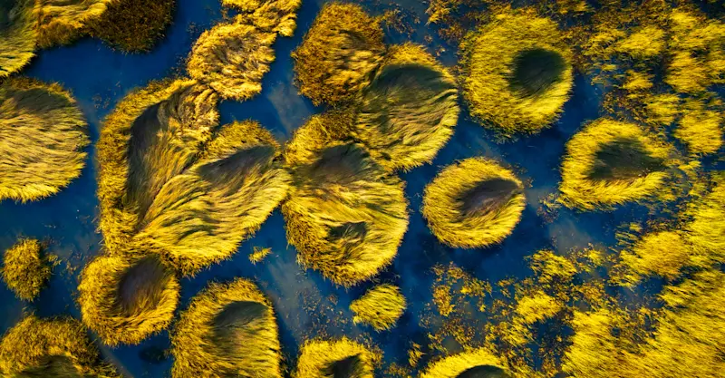 Mormon Lake, Flagstaff, Arizona