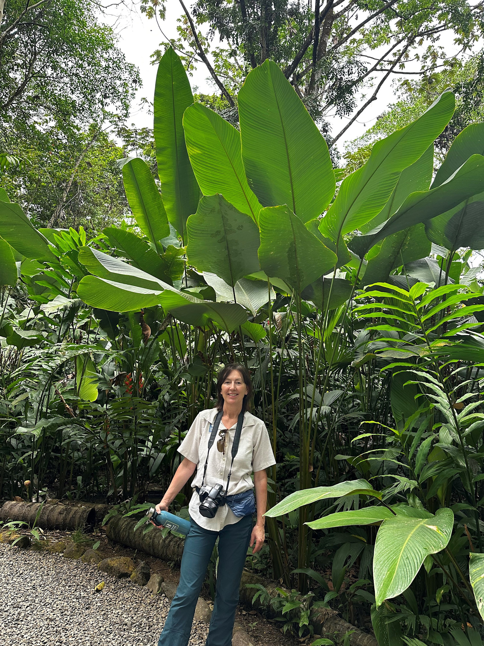 Exploring Cost Rica. 