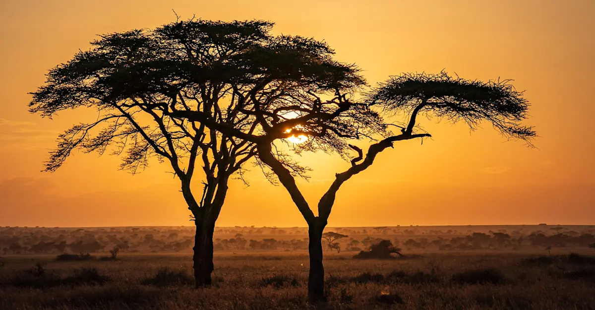 Serengeti National Park, Tanzania.