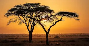 Serengeti National Park, Tanzania.