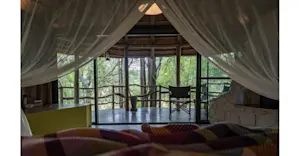 Tented Suite Views