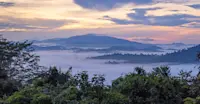 Rainforest, Borneo.