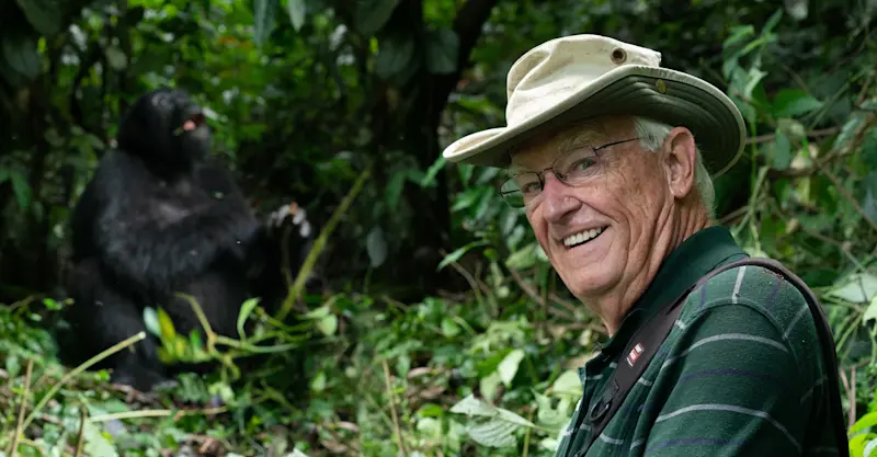 Nat Hab guest and mountain gorilla, Bwindi Impenetrable Forest National Park, Uganda.
