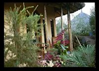 Slideshow Thumbnail 4 of 4