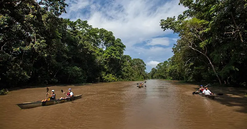 Nat Hab guests paddling, Pacaya Samiria National Reserve, Peru.