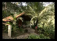 Slideshow Thumbnail 4 of 12