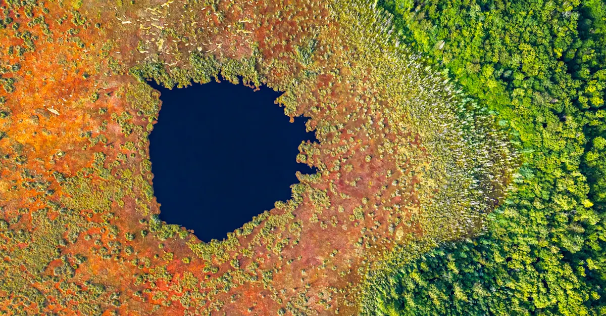 Northern Peatlands