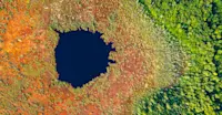 Northern Peatlands