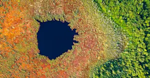 Northern Peatlands