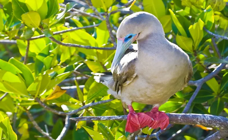 shutterstock_66736351