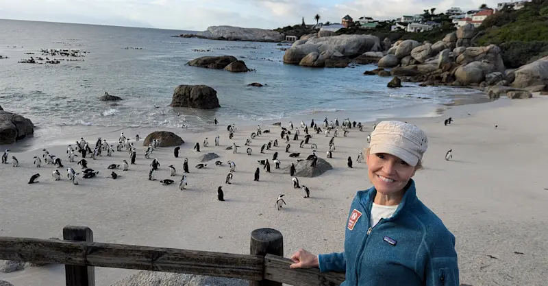 On the beach with penguins again, 20 years later, in Cape Town, South Africa.