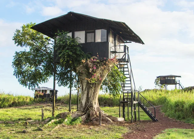 Accommodations|Natural Habitat Wild Tortoise Camp|Nat-Hab-Wild-Tortoise-Camp-16