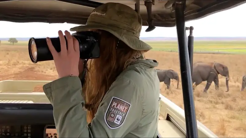 Photographing massive herds of elephants in Tarangire National Park, Tanzania.