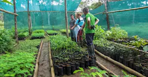 Earthwatch Expeditions crew, greenhouse, Monteverde Cloud Forest Reserve, Costa Rica.