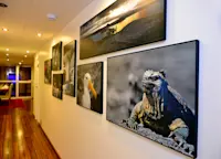 Slideshow Thumbnail 9 of 14