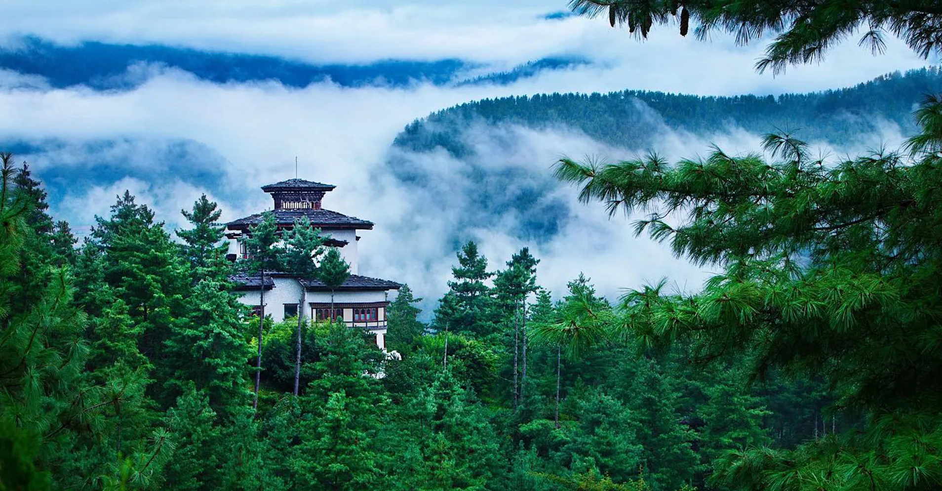 COMO sits atop a blue pine tree-clad hill overlooking the rice paddies and ancient temples of the Paro Valley