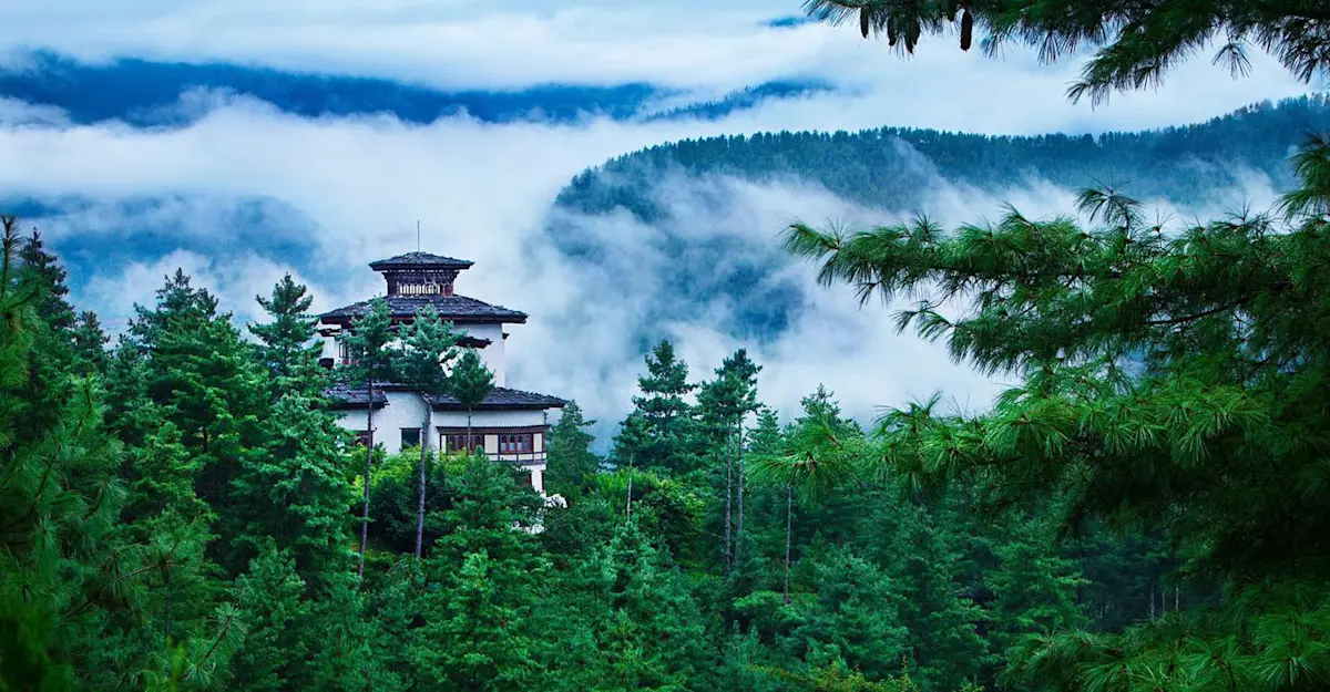 COMO sits atop a blue pine tree-clad hill overlooking the rice paddies and ancient temples of the Paro Valley
