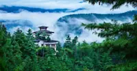 COMO sits atop a blue pine tree-clad hill overlooking the rice paddies and ancient temples of the Paro Valley