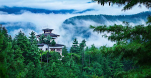 COMO sits atop a blue pine tree-clad hill overlooking the rice paddies and ancient temples of the Paro Valley