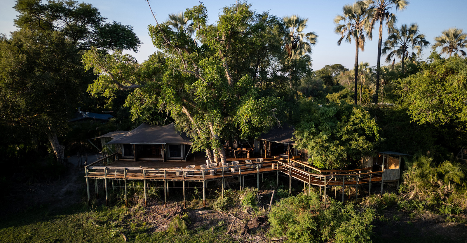 Viewing deck at Nat Hab's Pelo Camp