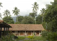 Slideshow Thumbnail 4 of 7