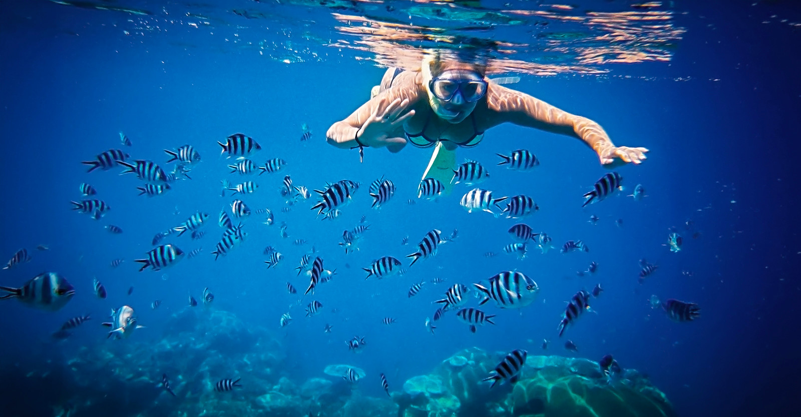 Discovering underwater color and calm while snorkeling off Beachcomber Island, Fiji.