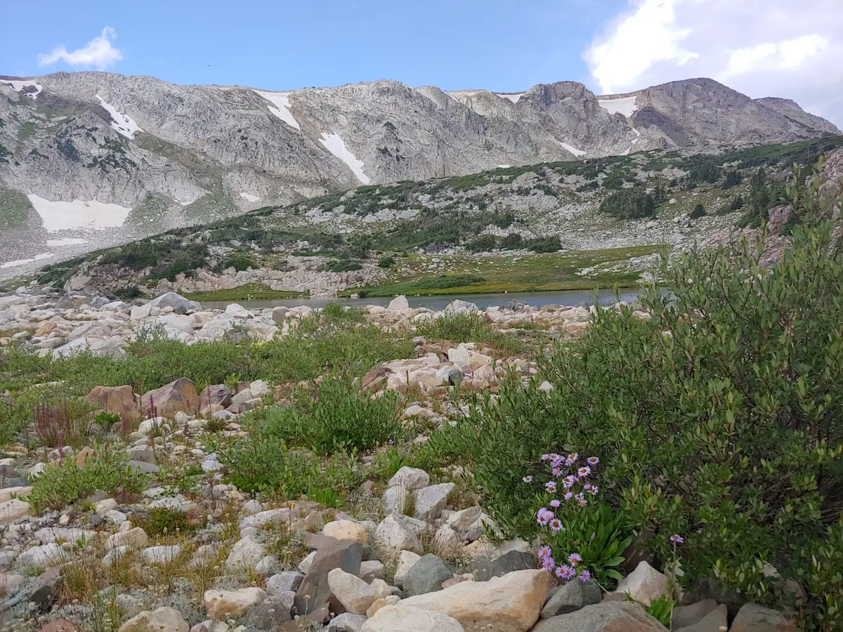 Cozy sights stretching across the peaks, Snowy Mountain Range, Wyoming.