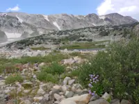 Cozy sights stretching across the peaks, Snowy Mountain Range, Wyoming.