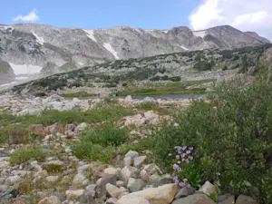 Cozy sights stretching across the peaks, Snowy Mountain Range, Wyoming.