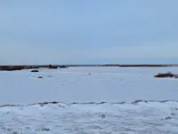 Polar bear viewing in Churchill.