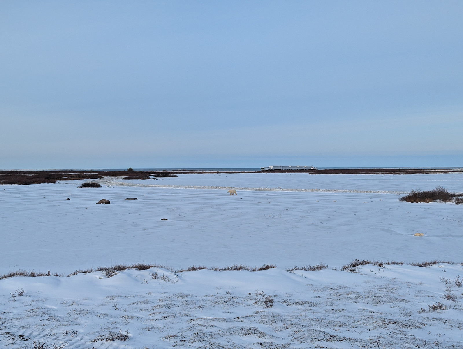 Polar bear viewing in Churchill.