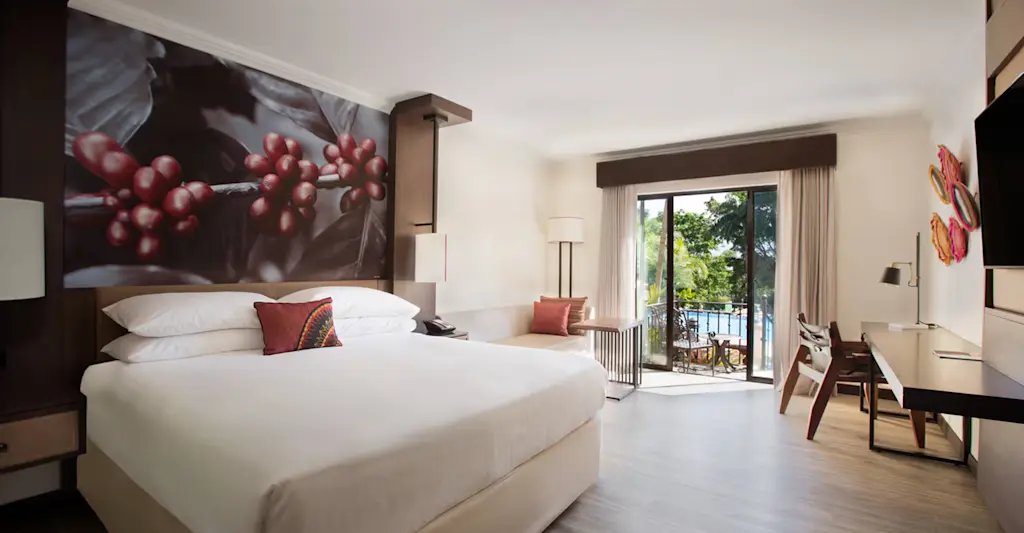 Pool View Room