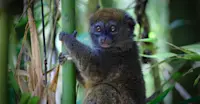 Slideshow Thumbnail 6 of 8