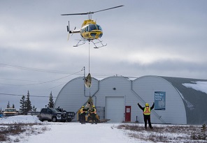 Beforeyougo|polar-bears|conservation|bear-lift-2