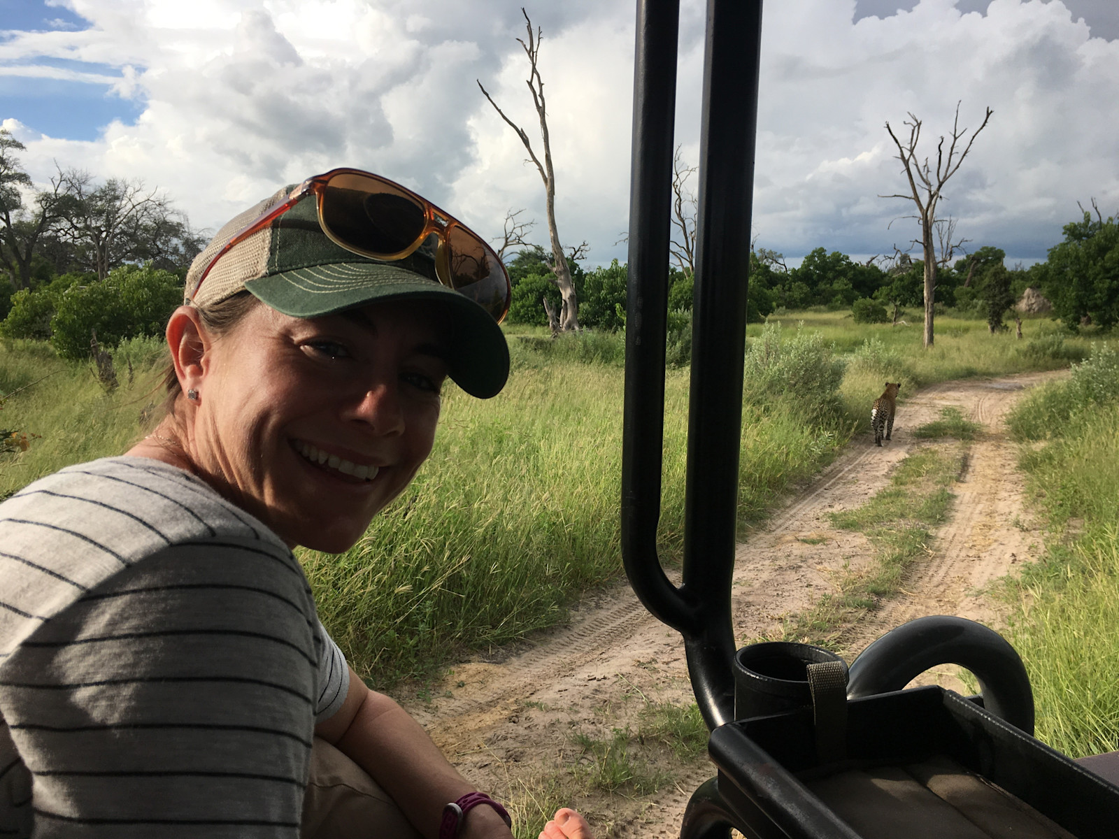Following a leopard on the prowl in the Okavango Delta during green season in Botswana.