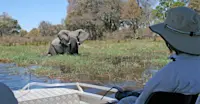 Nat Hab guest and elephant, Chobe National Park, Botswana.