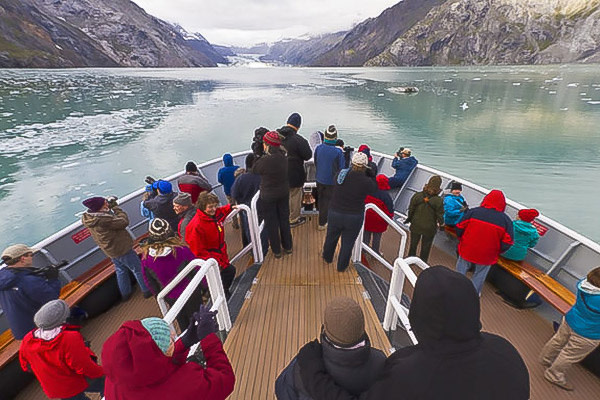 Wildlife on the deck, National Geographic Sea Bird, Alaska