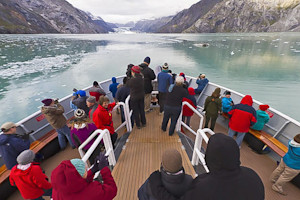 Wildlife on the deck, National Geographic Sea Bird, Alaska