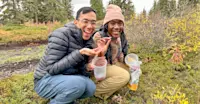 Earthwatch Expeditions guests picking tundra berries, Churchill, Manitoba, Canada.