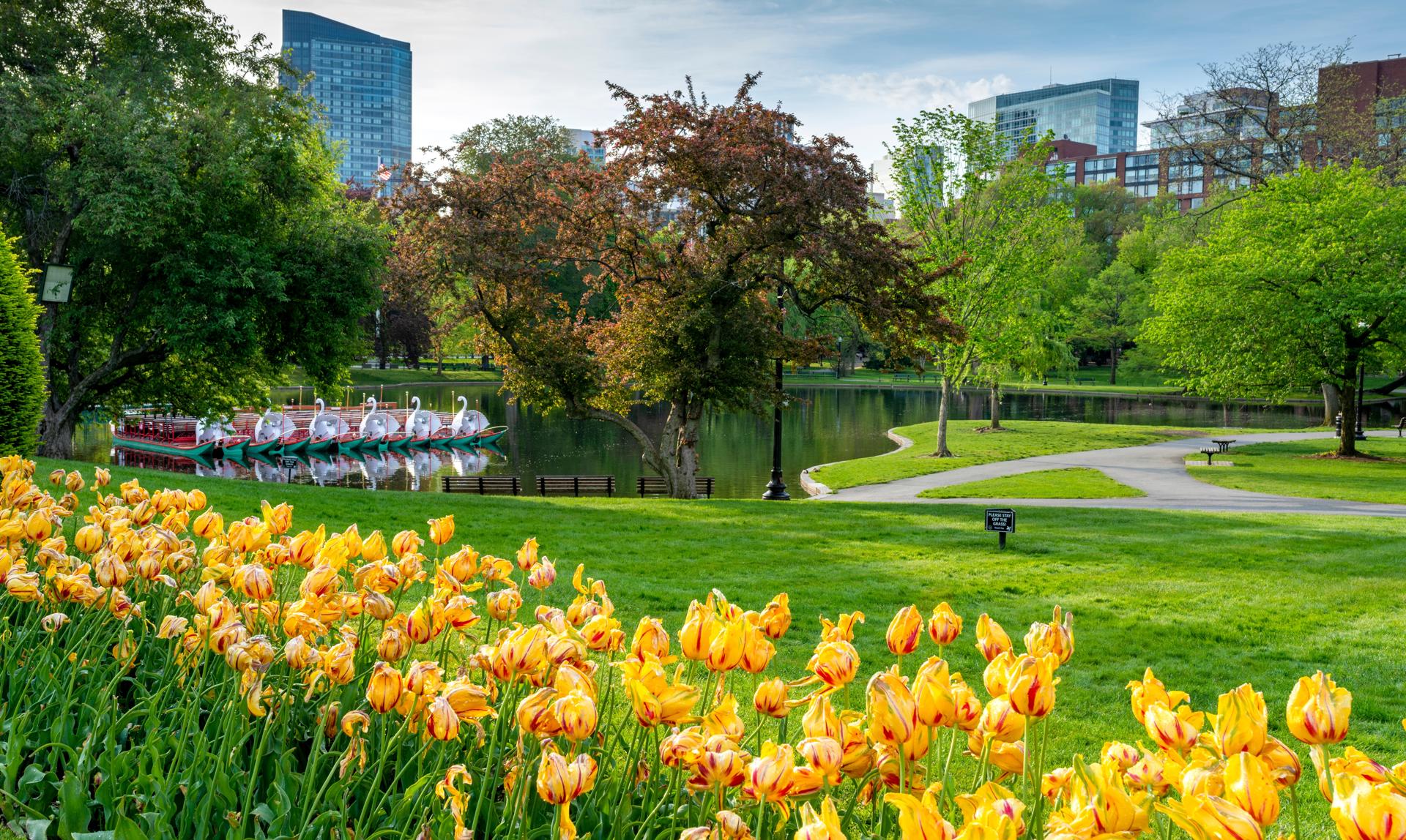 Boston Public Garden
