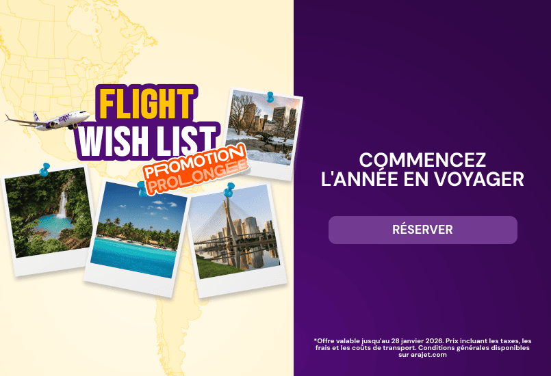 Christmas Promotion - Travel Discount (Mobile)