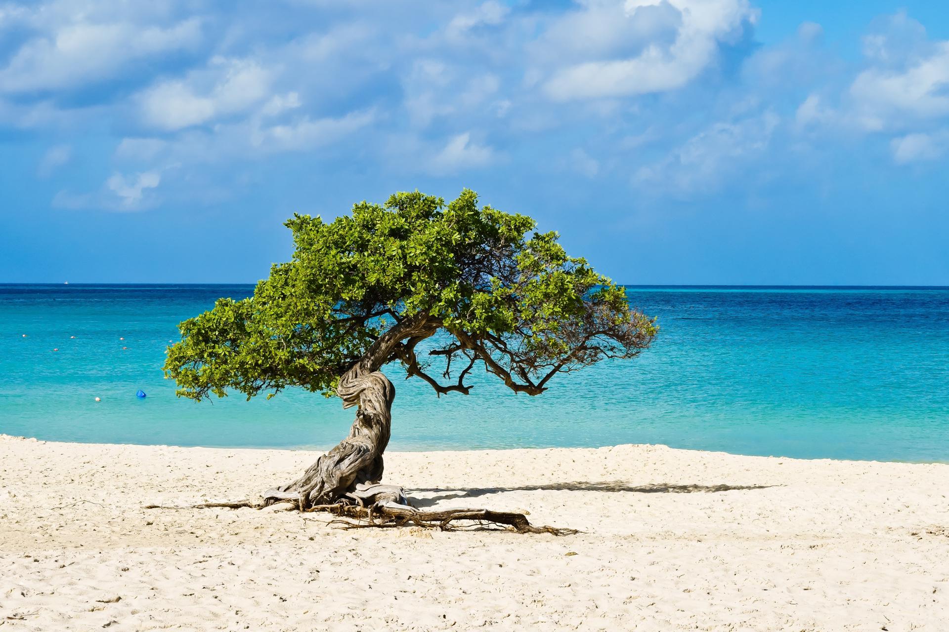 Eagle Beach