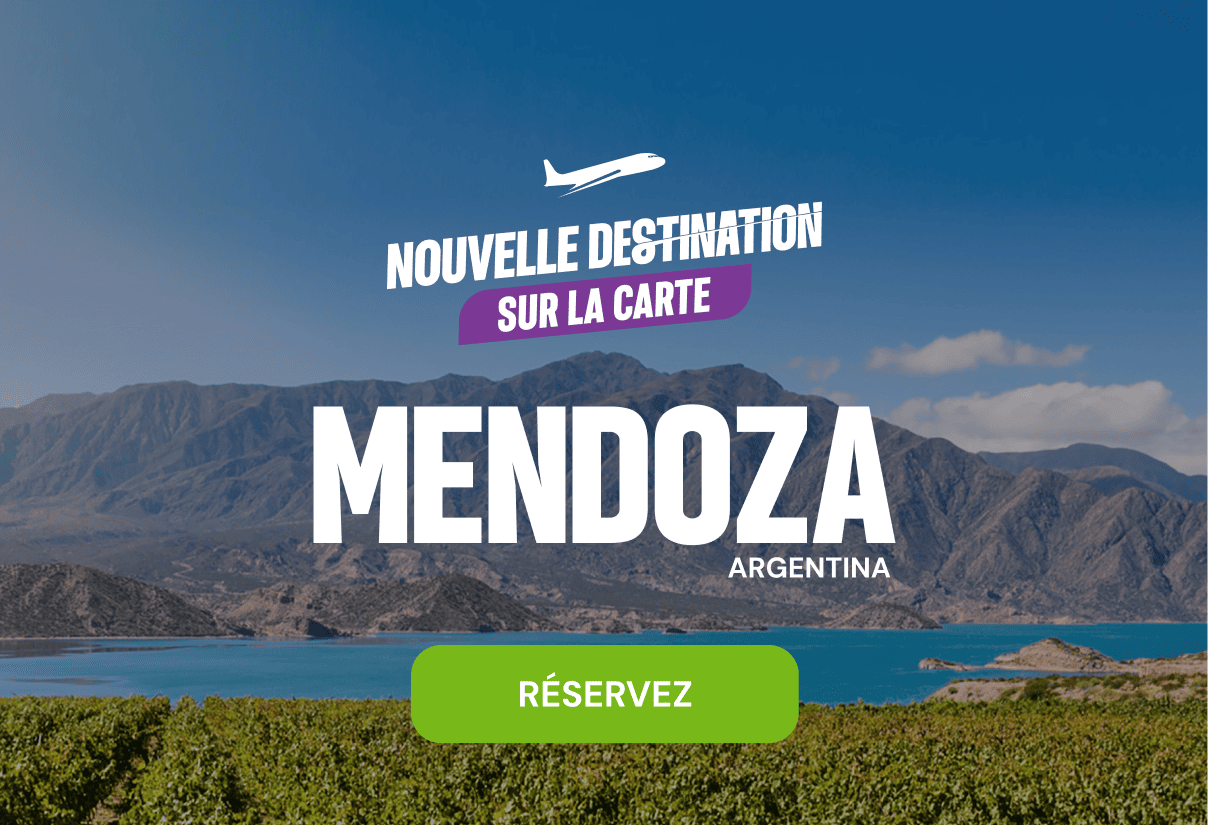 Christmas Promotion - Travel Discount (Mobile)