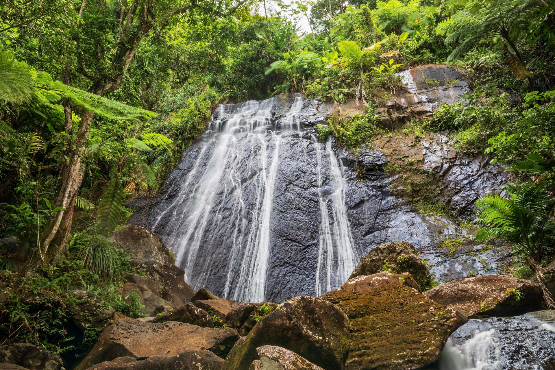 Forêt Nationale El Yunque