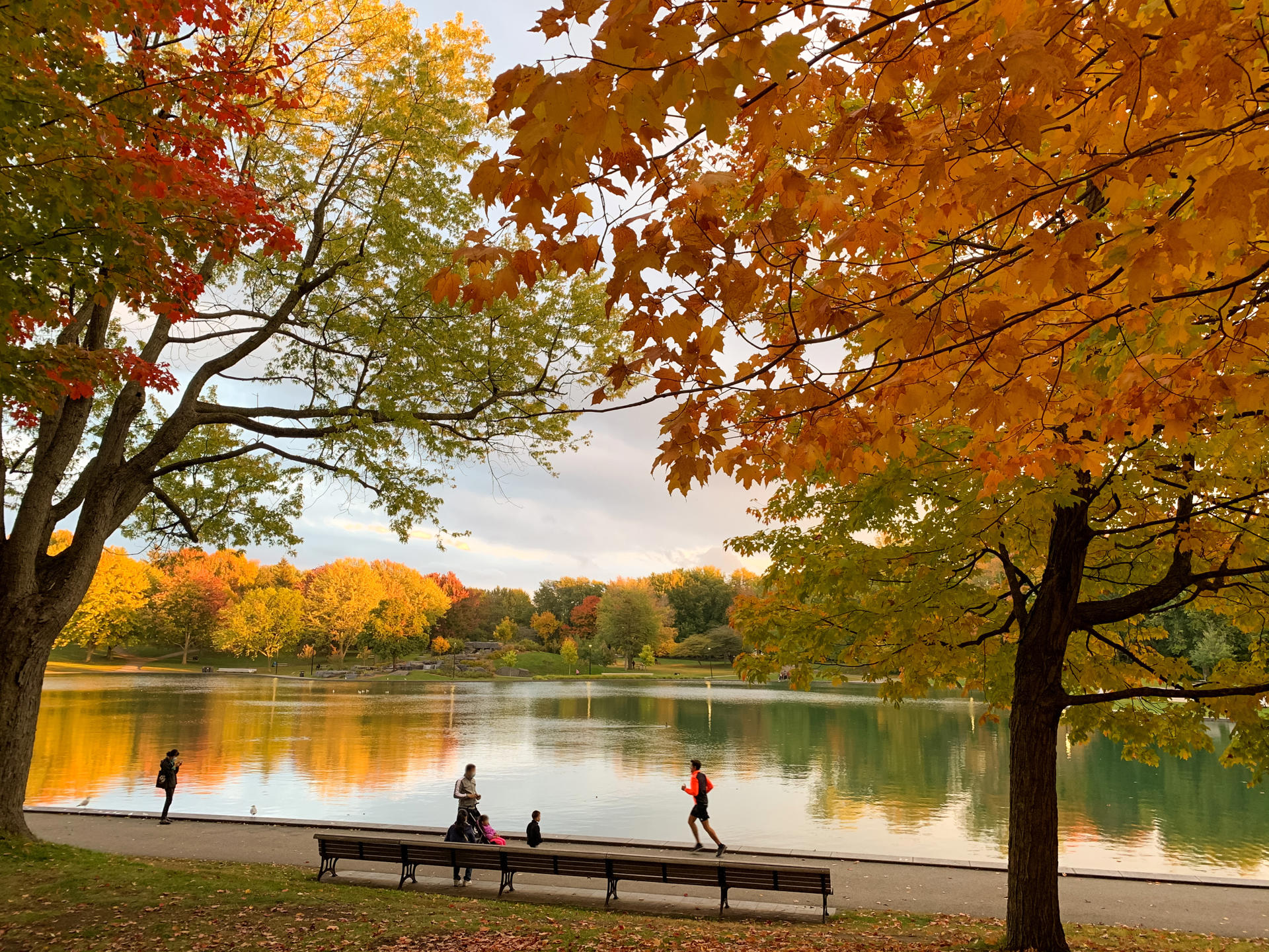 Parc du Mont-Royal