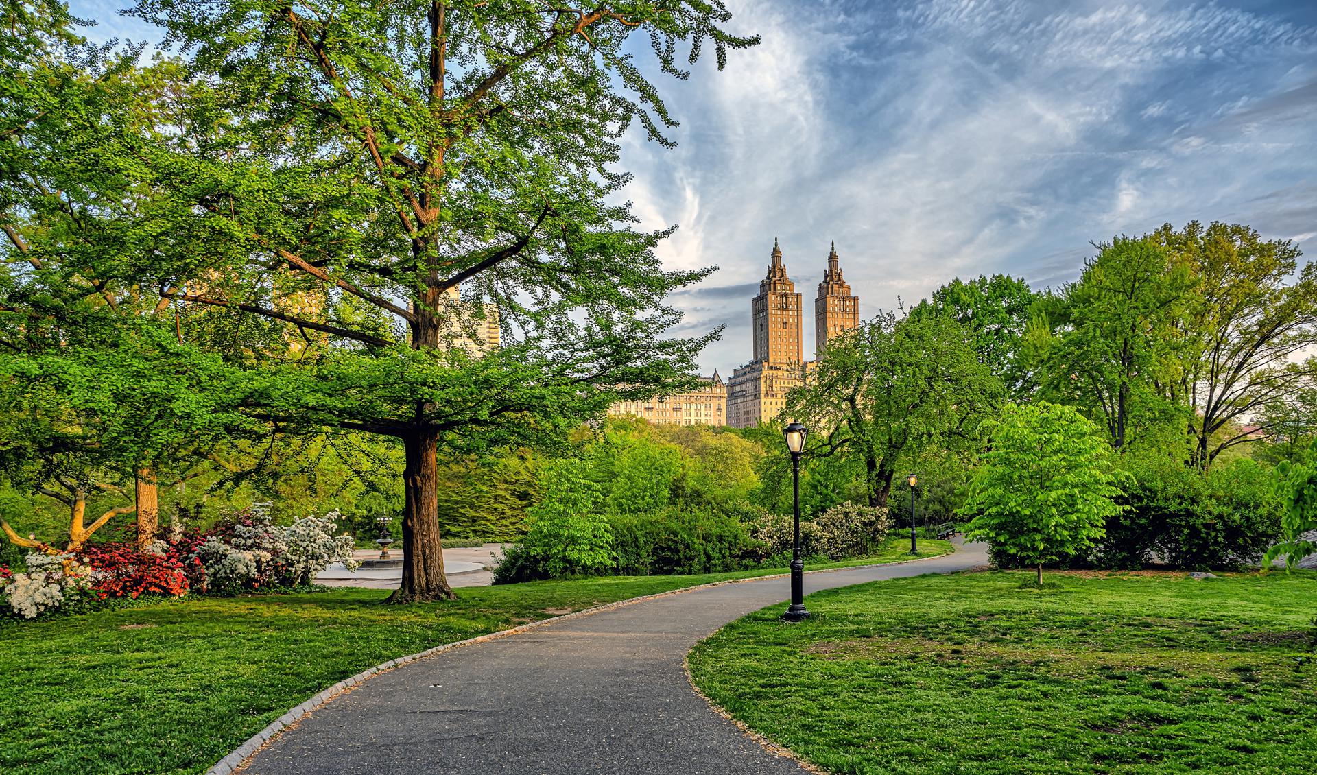 Central Park