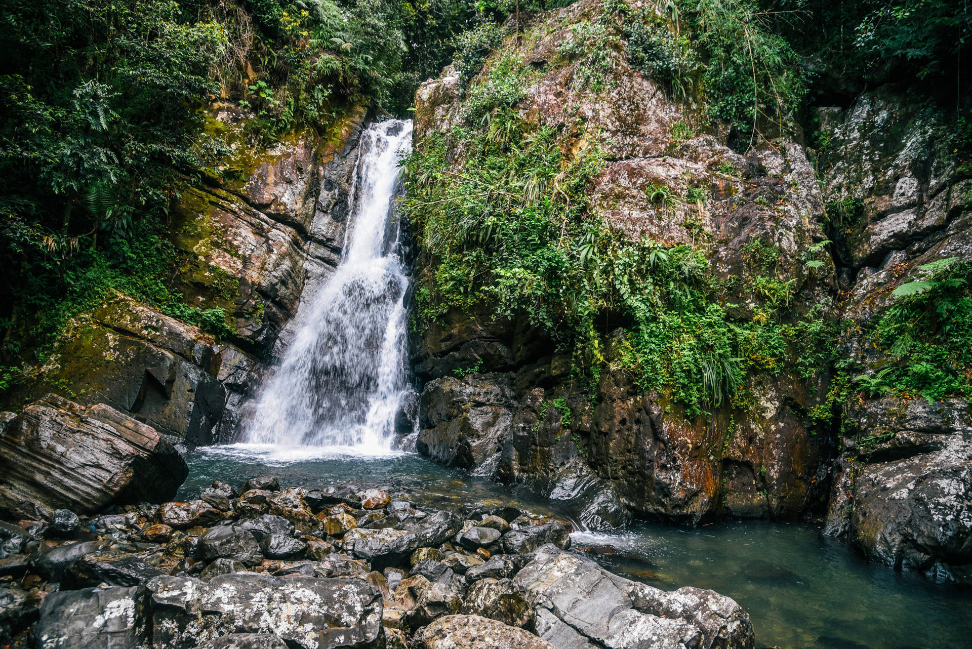 Forêt Nationale El Yunque