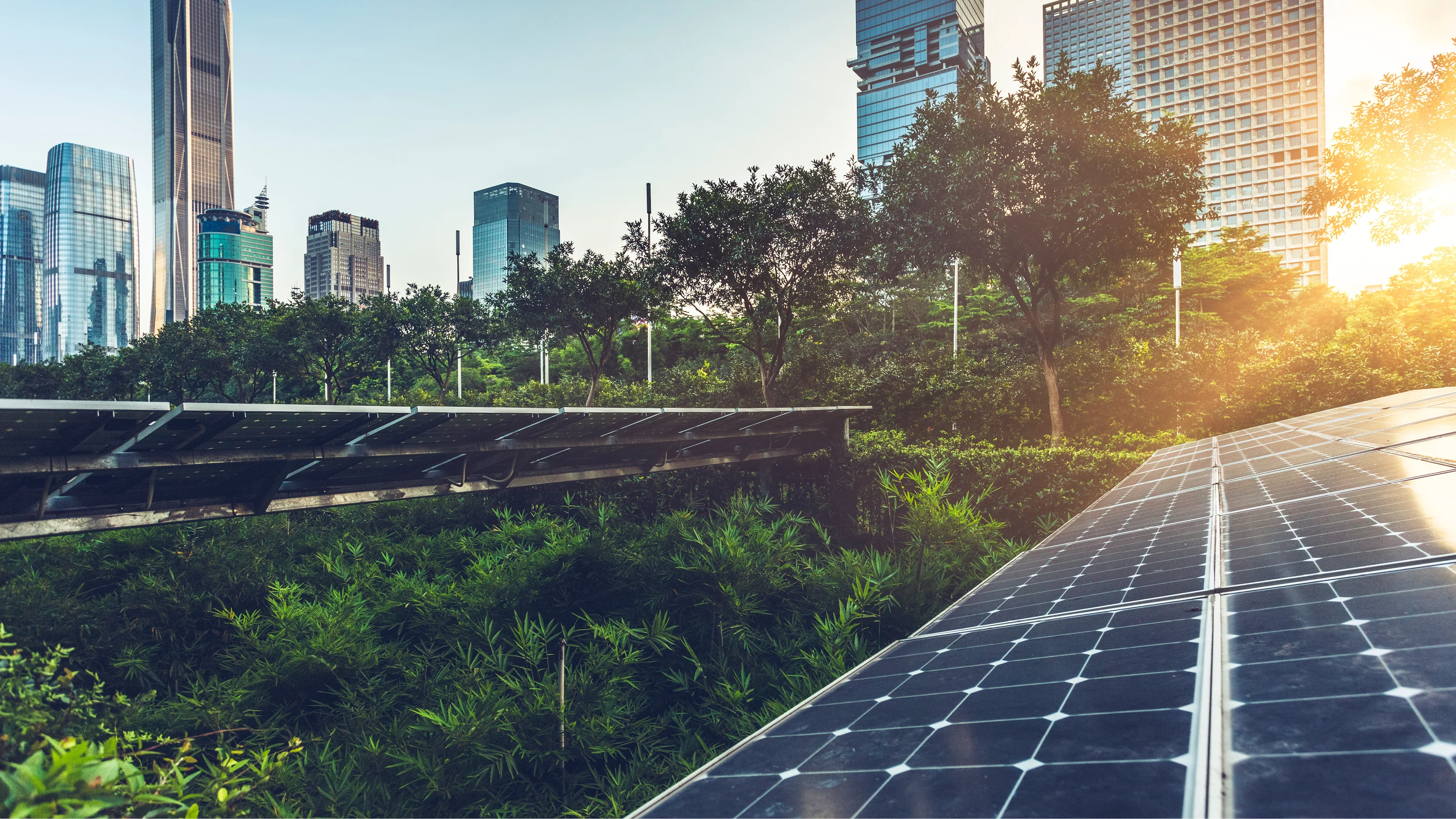 solar panel with city skyline backdrop
